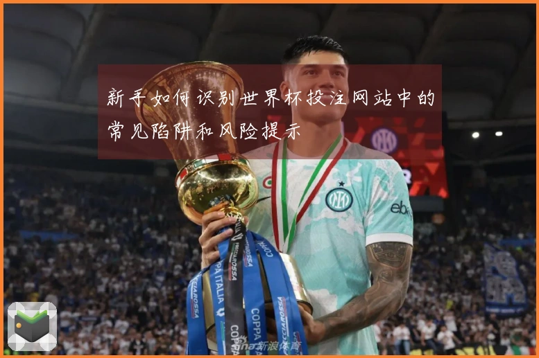 新手如何识别世界杯投注网站中的常见陷阱和风险提示