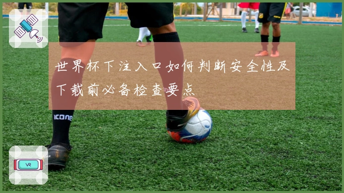 世界杯下注入口如何判断安全性及下载前必备检查要点
