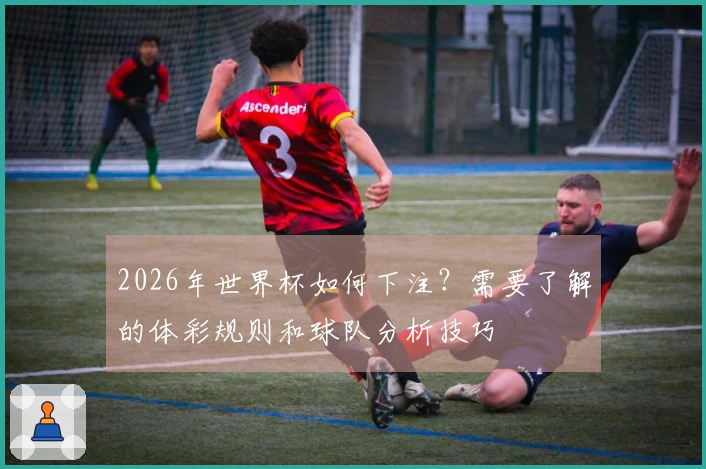 2026年世界杯如何下注？需要了解的体彩规则和球队分析技巧
