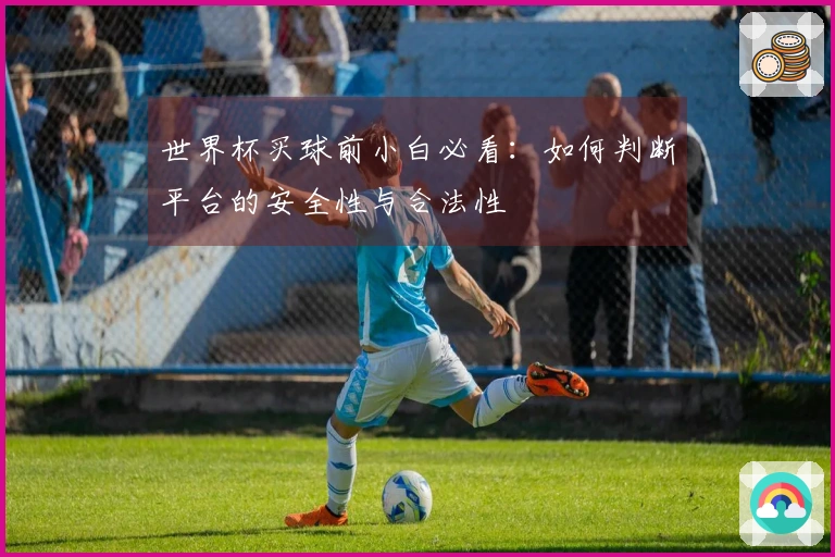 世界杯买球前小白必看：如何判断平台的安全性与合法性