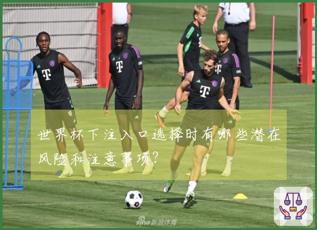 世界杯下注入口选择时有哪些潜在风险和注意事项?
