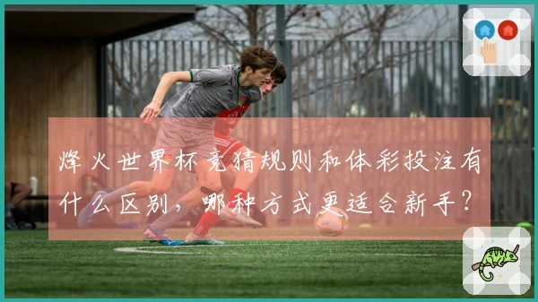 烽火世界杯竞猜规则和体彩投注有什么区别，哪种方式更适合新手？