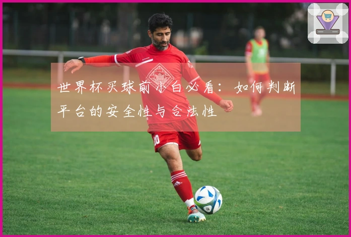 世界杯买球前小白必看：如何判断平台的安全性与合法性