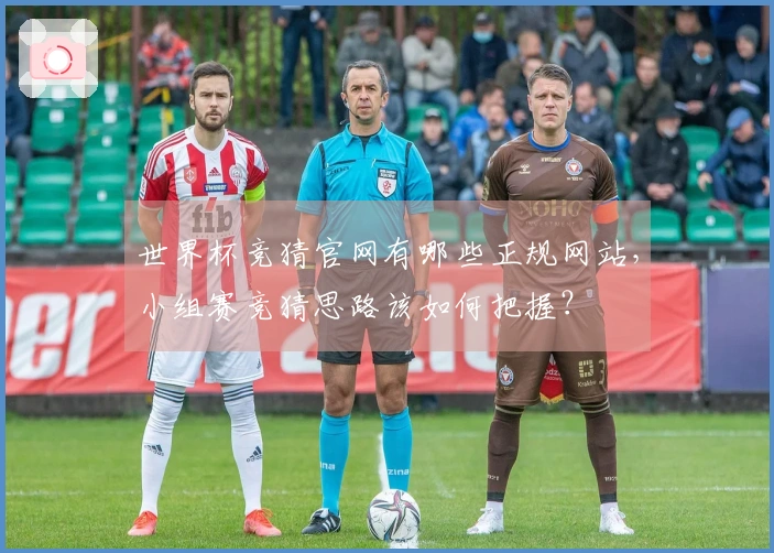 世界杯竞猜官网有哪些正规网站，小组赛竞猜思路该如何把握？