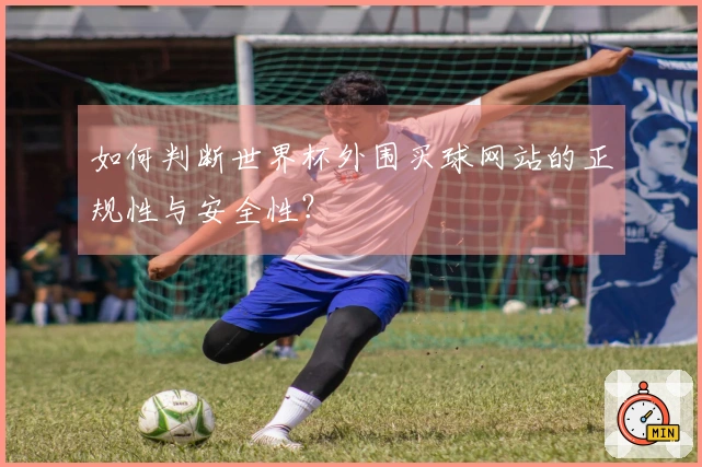 如何判断世界杯外围买球网站的正规性与安全性？