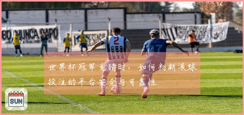 世界杯冠军竞猜时，如何判断滚球投注的平台安全与可靠性