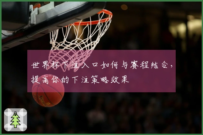 世界杯下注入口如何与赛程结合，提高你的下注策略效果