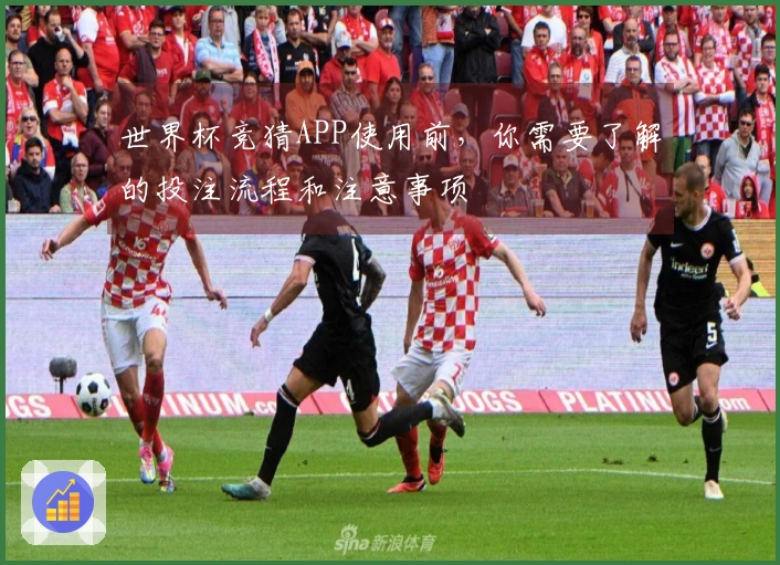 世界杯竞猜APP使用前,你需要了解的投注流程和注意事项
