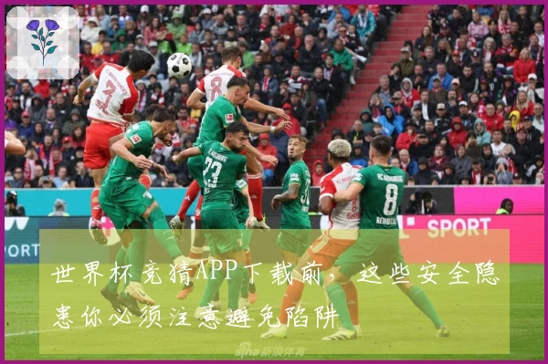 世界杯竞猜APP下载前，这些安全隐患你必须注意避免陷阱