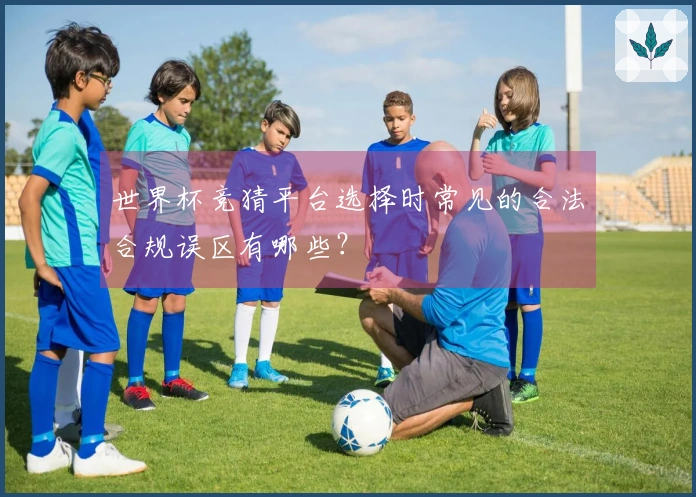 世界杯竞猜平台选择时常见的合法合规误区有哪些？