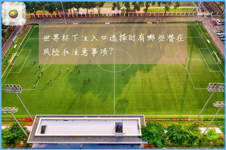 世界杯下注入口选择时有哪些潜在风险和注意事项？