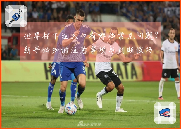 世界杯下注入口有哪些常见问题？新手必知的注意事项与判断技巧