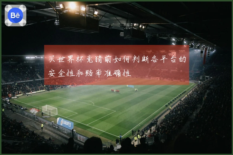 买世界杯竞猜前如何判断各平台的安全性和赔率准确性