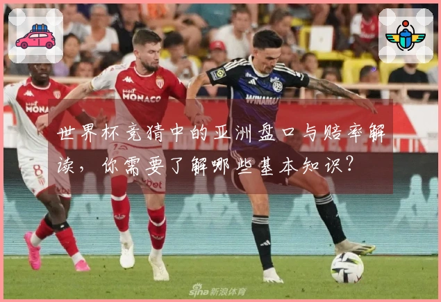 世界杯竞猜中的亚洲盘口与赔率解读，你需要了解哪些基本知识？