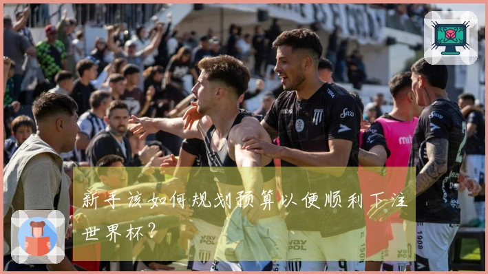 新手该如何规划预算以便顺利下注世界杯？
