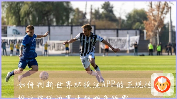 如何判断世界杯投注APP的正规性与投注技巧边界才能避免踩雷