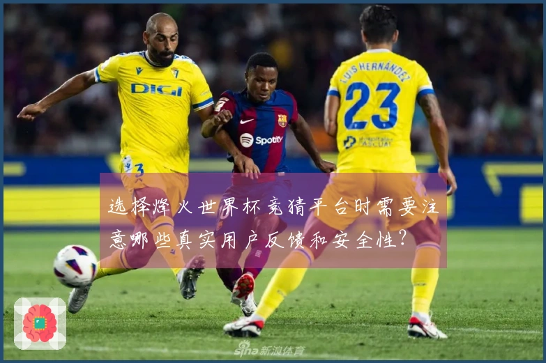 选择烽火世界杯竞猜平台时需要注意哪些真实用户反馈和安全性？