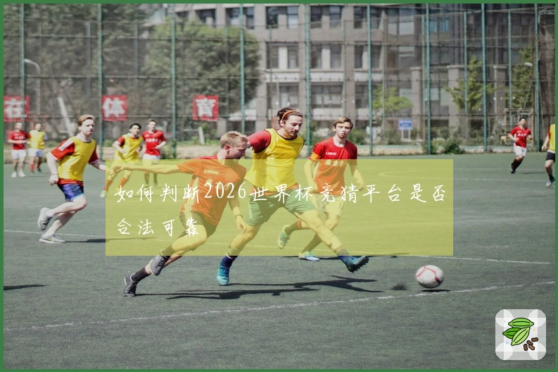 如何判断2026世界杯竞猜平台是否合法可靠