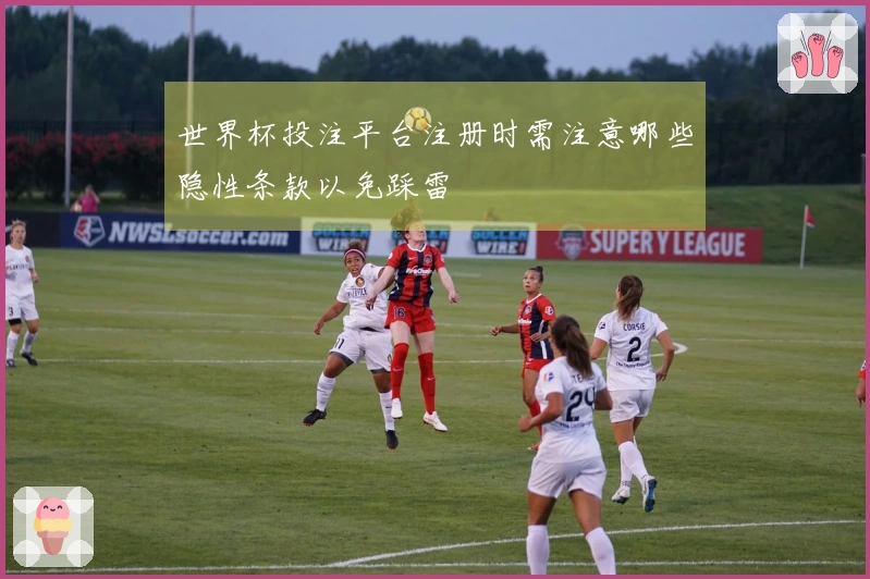 世界杯投注平台注册时需注意哪些隐性条款以免踩雷