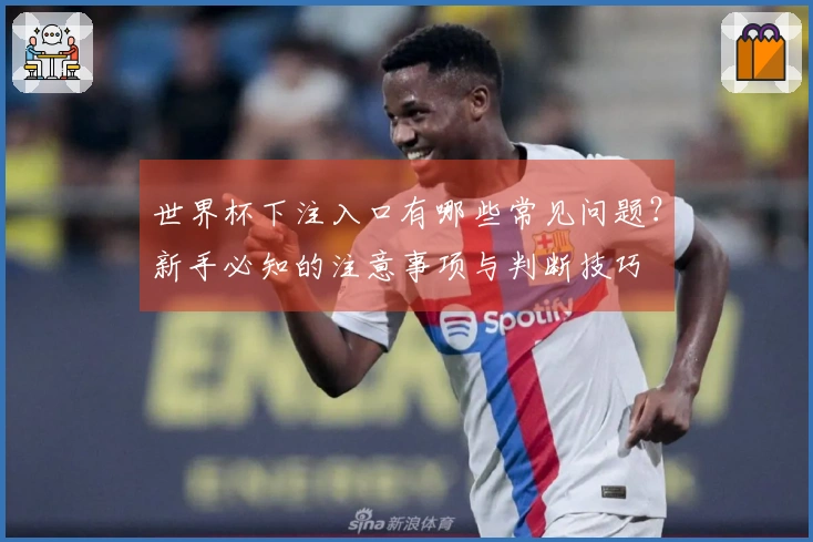 世界杯下注入口有哪些常见问题?新手必知的注意事项与判断技巧