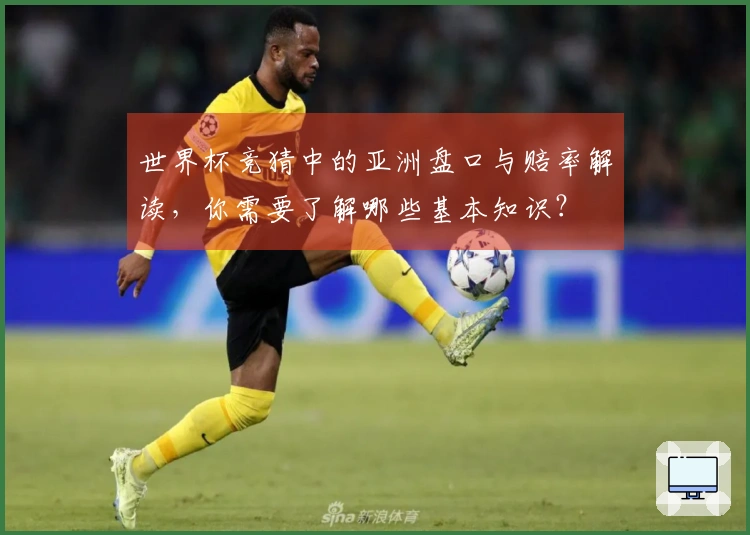 世界杯竞猜中的亚洲盘口与赔率解读，你需要了解哪些基本知识？