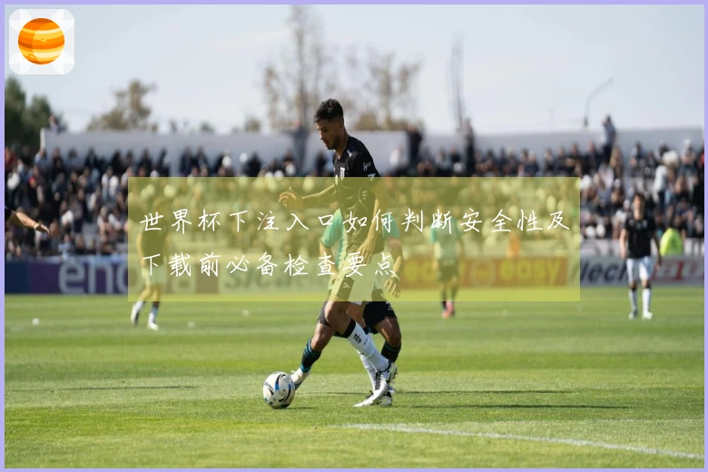 世界杯下注入口如何判断安全性及下载前必备检查要点