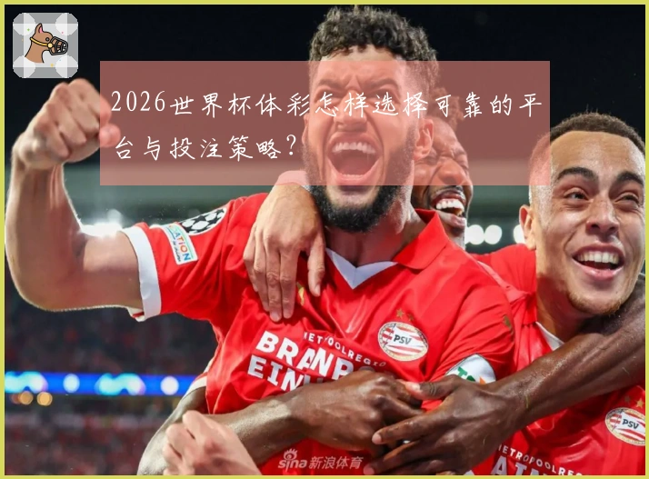 2026世界杯体彩怎样选择可靠的平台与投注策略？