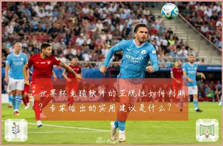 世界杯竞猜软件的正规性如何判断？专家给出的实用建议是什么？