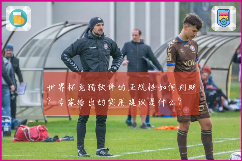 世界杯竞猜软件的正规性如何判断？专家给出的实用建议是什么？