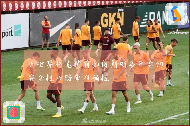 买世界杯竞猜前如何判断各平台的安全性和赔率准确性