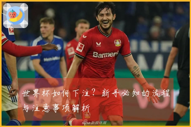 世界杯如何下注？新手必知的流程与注意事项解析