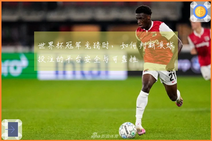 世界杯冠军竞猜时，如何判断滚球投注的平台安全与可靠性